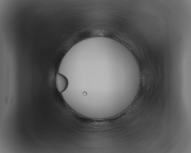 X0000101220314200806270930