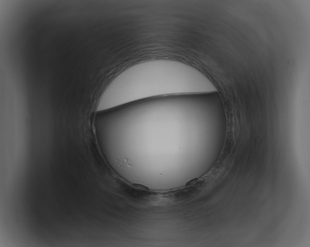 X0000101220320200806270930
