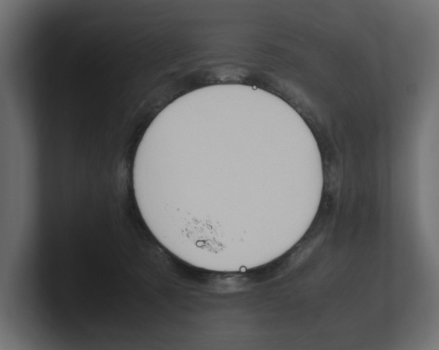 X0000101220321200806270930