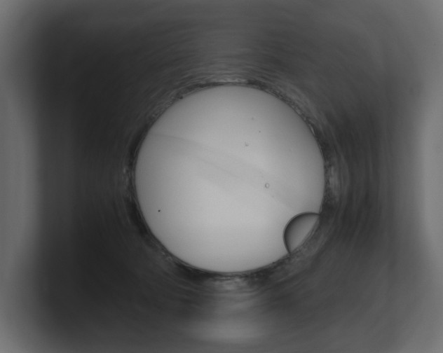 X0000101220322200806270930