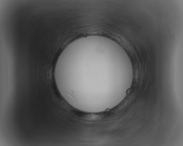 X0000101220326200806270930