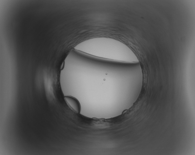 X0000101220331200806270930