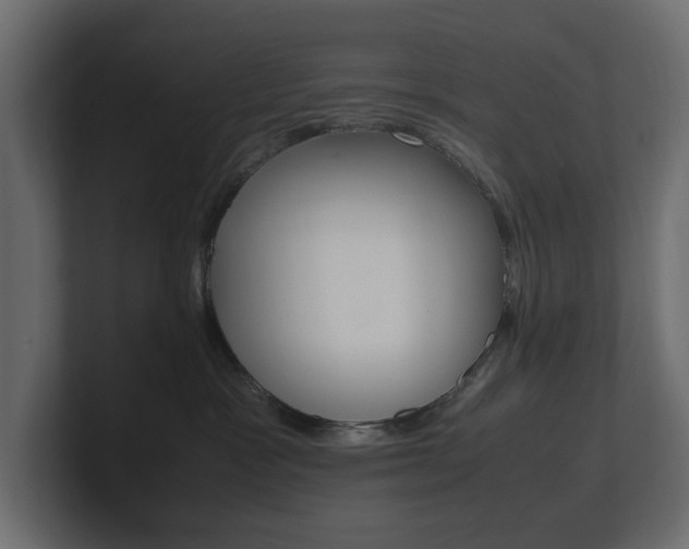 X0000101220333200806270930