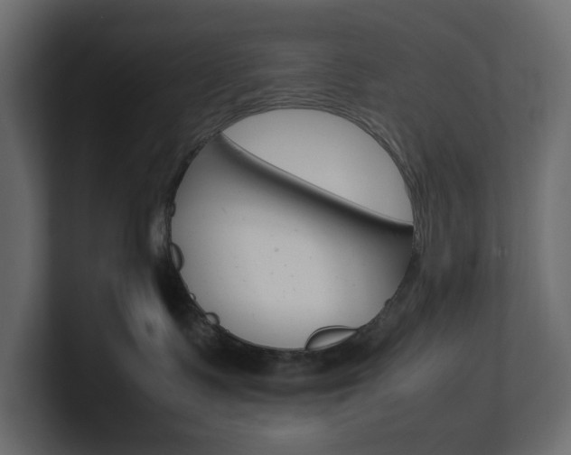 X0000101220335200806270930