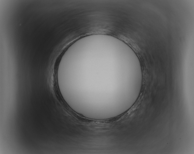 X0000101220338200806270929