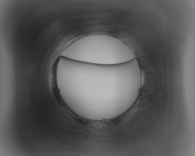 X0000101220339200806270929