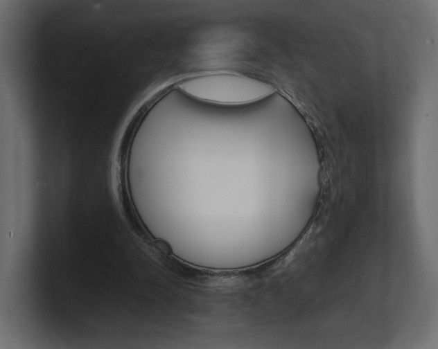X0000101220342200806270929
