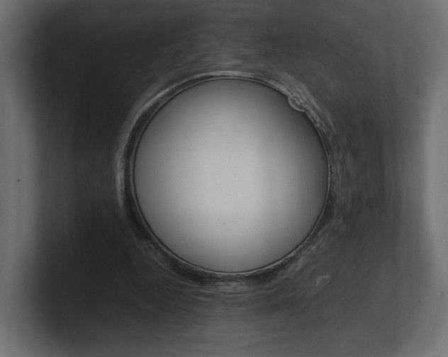 X0000101220344200806270929