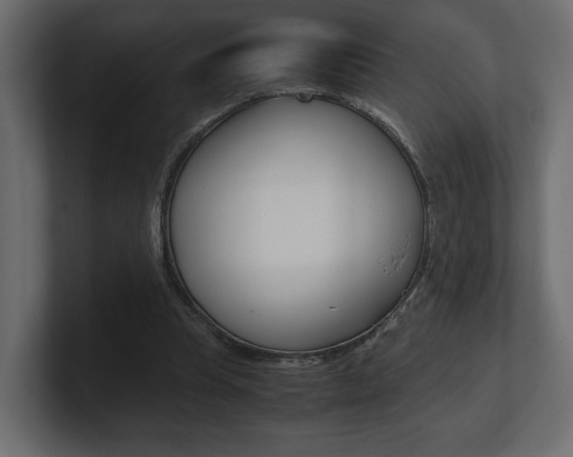 X0000101220345200806270929