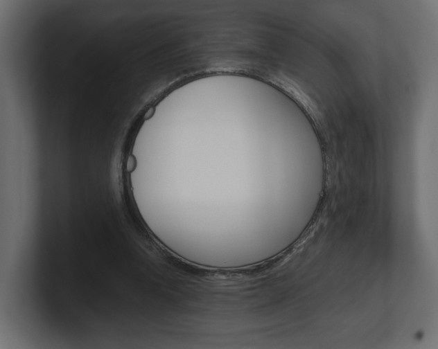 X0000101220346200806270929
