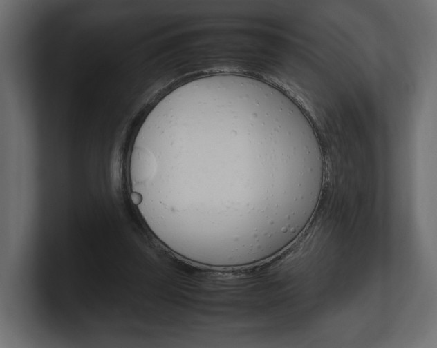 X0000101220347200806270929