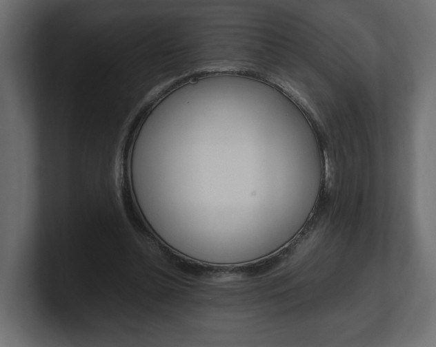 X0000101220348200806270929