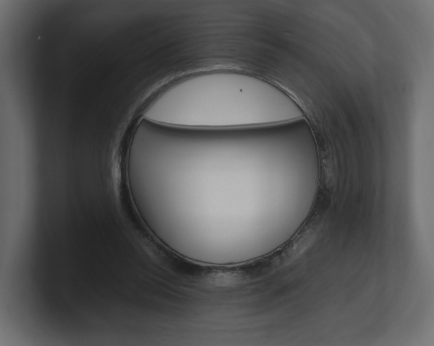 X0000101220350200806270929