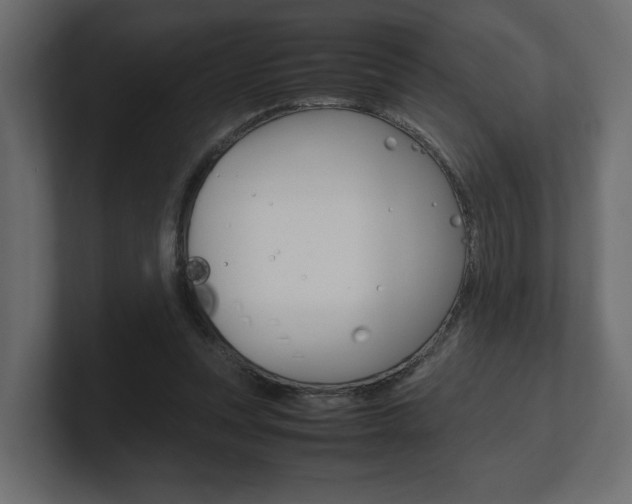 X0000101220351200806270929