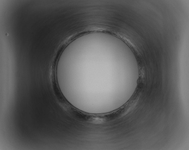 X0000101220352200806270929