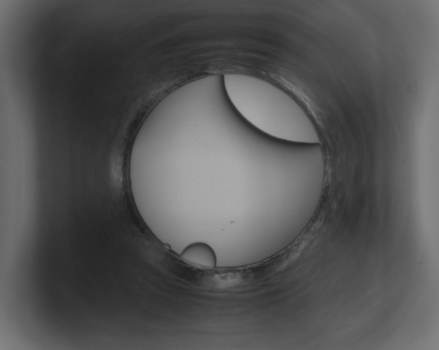 X0000101220353200806270929