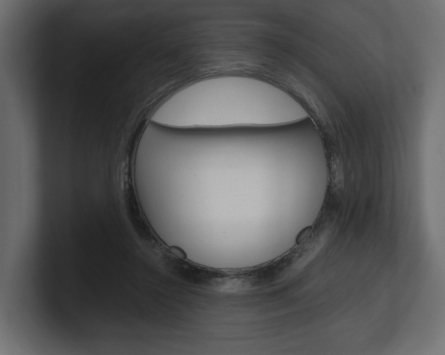 X0000101220356200806270929