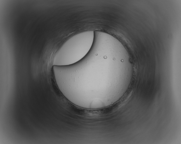 X0000101220359200806270929