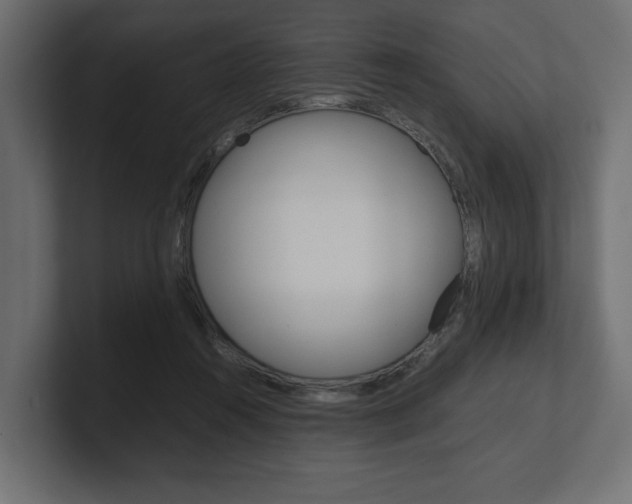 X0000101220360200806270929
