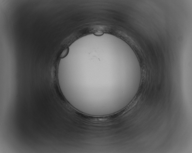 X0000101220361200806270929
