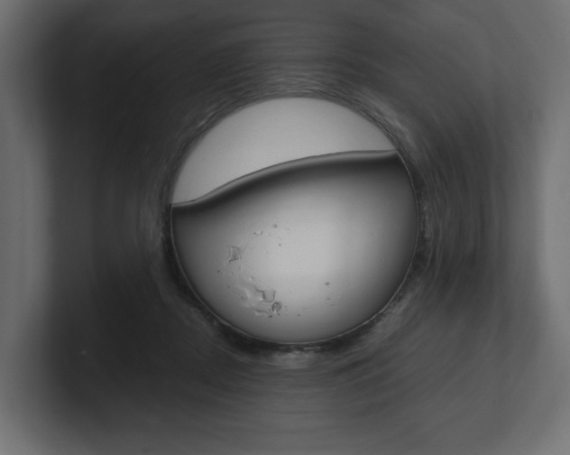 X0000101220362200806270929