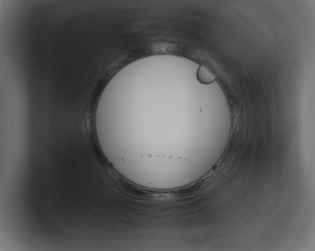 X0000101220363200806270929