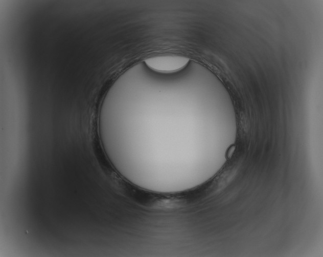 X0000101220364200806270929