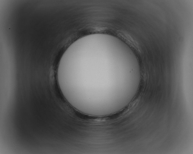 X0000101220366200806270929