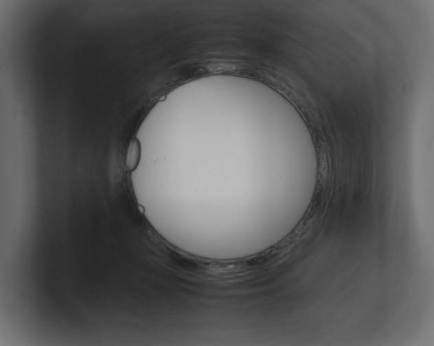 X0000101220367200806270929