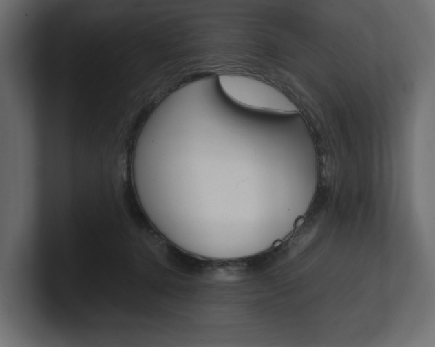 X0000101220368200806270929