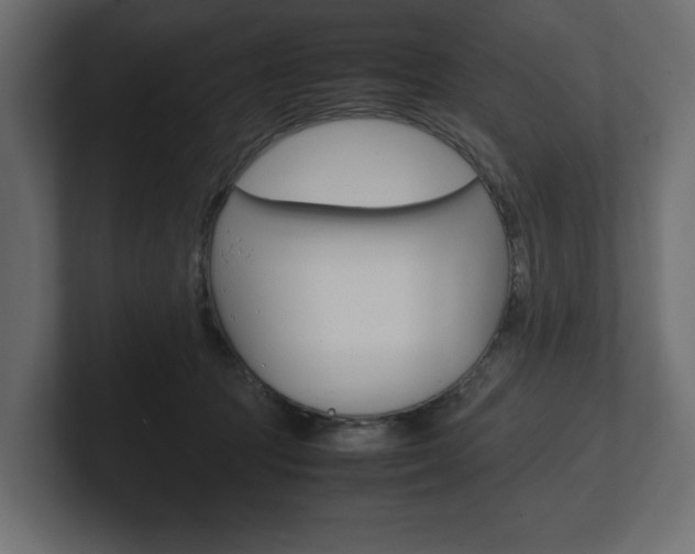 X0000101220369200806270929
