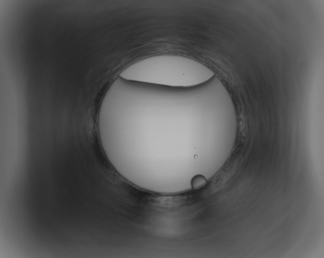 X0000101220371200806270930