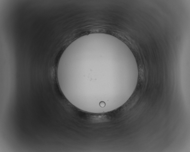 X0000101220375200806270930