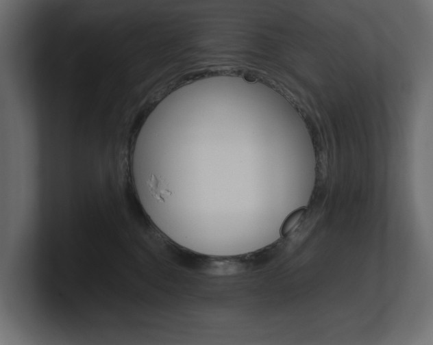 X0000101220376200806270930