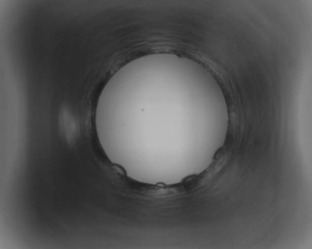 X0000101220379200806270930