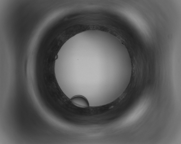 X0000101220383200806270930