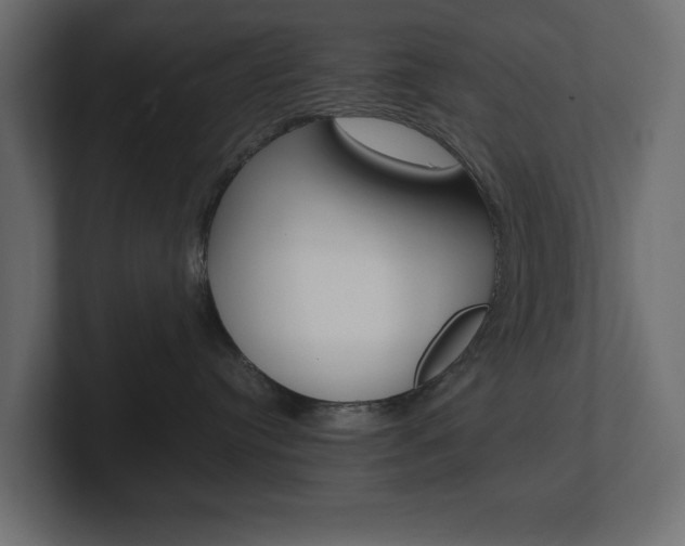 X0000101220384200806270930