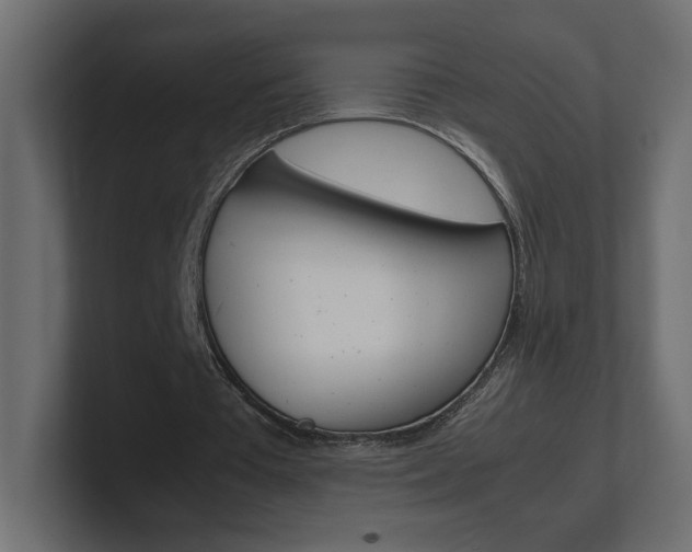 X0000101220385200806270929