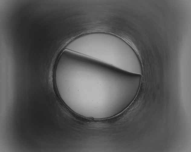 X0000101220389200806270929