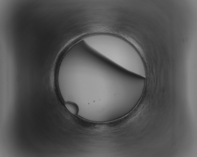 X0000101220391200806270929