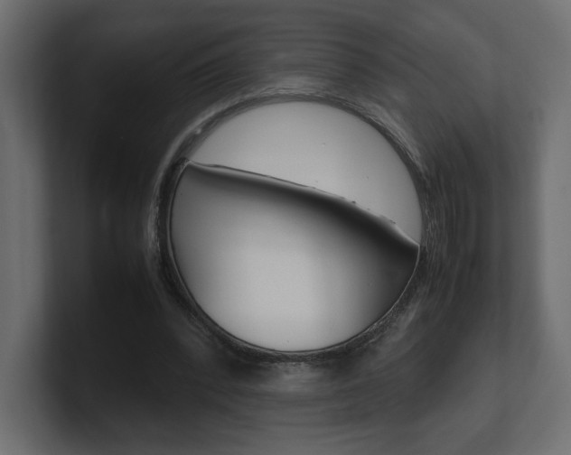 X0000101220392200806270929