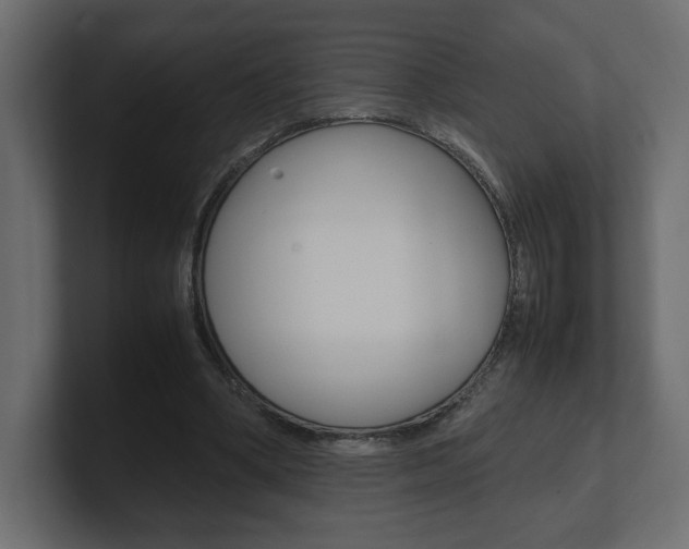 X0000101220394200806270929