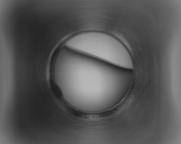 X0000101220395200806270929