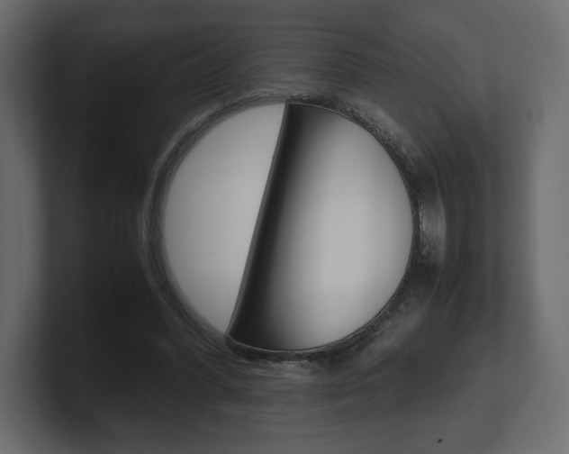X0000101220396200806270929