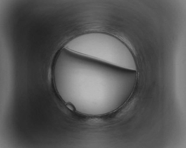 X0000101220397200806270929