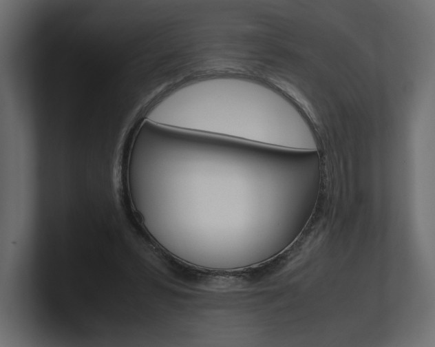 X0000101220399200806270929