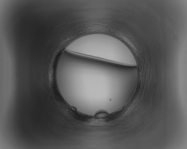 X0000101220403200806270929