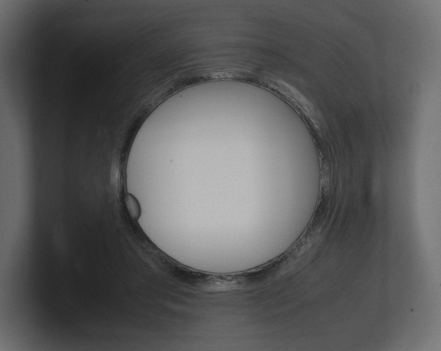 X0000101220405200806270929