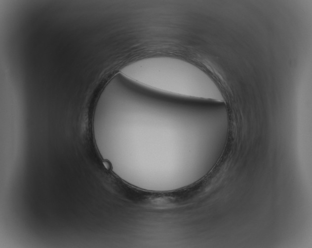 X0000101220407200806270929
