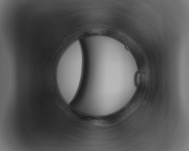 X0000101220408200806270929